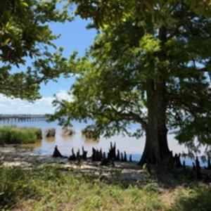 Photo #3 of Bay Drive, Kill Devil Hills, NC 0.2 acres