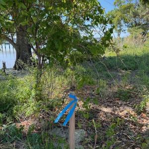 Photo #4 of Bay Drive, Kill Devil Hills, NC 0.2 acres