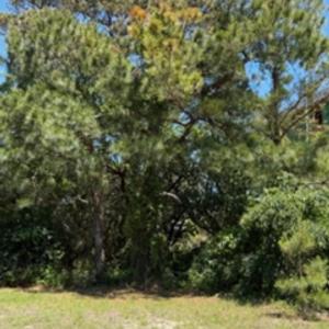 Photo #34 of Bay Drive, Kill Devil Hills, NC 0.2 acres