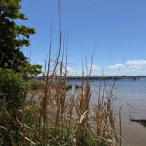 Photo #33 of Bay Drive, Kill Devil Hills, NC 0.2 acres