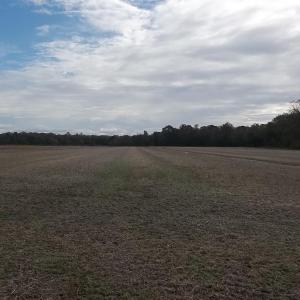 Photo #1 of 277 Old Swamp Road, South Mills, NC