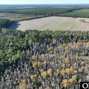 Photo #17 of Old NC 64, Columbia, NC