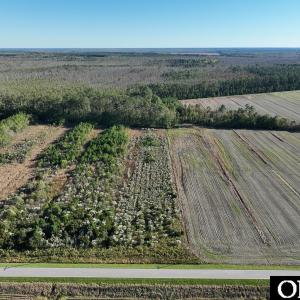 Photo #5 of Old NC 64, Columbia, NC