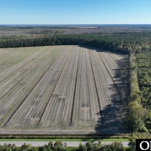 Photo #2 of Old NC 64, Columbia, NC