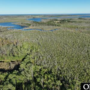 Photo #10 of Old NC 64, Columbia, NC