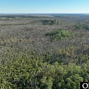 Photo #11 of Old NC 64, Columbia, NC