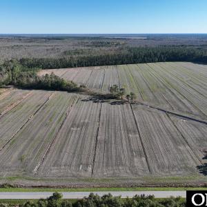 Photo #4 of Old NC 64, Columbia, NC