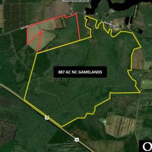 Photo #22 of Old NC 64, Columbia, NC