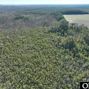 Photo #9 of Old NC 64, Columbia, NC