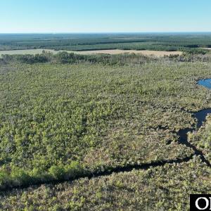 Photo #16 of Old NC 64, Columbia, NC