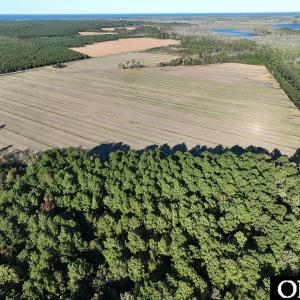 Photo #20 of Old NC 64, Columbia, NC