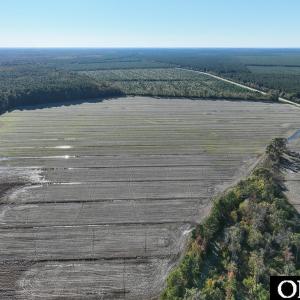 Photo #15 of Old NC 64, Columbia, NC