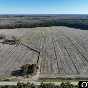 Photo #4 of Old NC 64, Columbia, NC