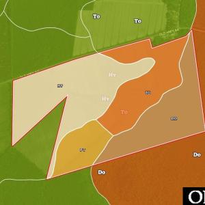 Photo #24 of Old NC 64, Columbia, NC