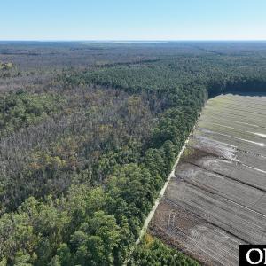 Photo #13 of Old NC 64, Columbia, NC