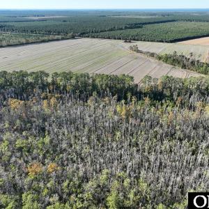 Photo #17 of Old NC 64, Columbia, NC