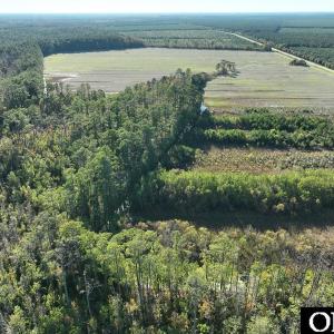 Photo #9 of Old NC 64, Columbia, NC