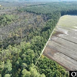 Photo #14 of Old NC 64, Columbia, NC