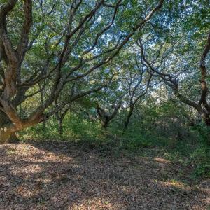 Photo #10 of 40008 North End Road, Avon, NC 0.8 acres