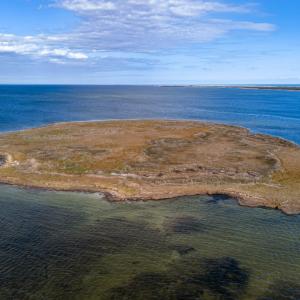 Photo #12 of Island, Avon, NC