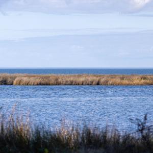 Photo #20 of Island, Avon, NC