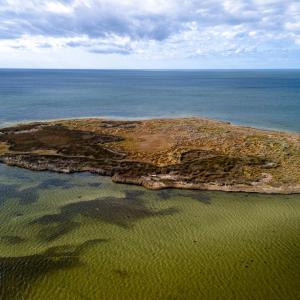 Photo #5 of Island, Avon, NC