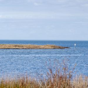 Photo #19 of Island, Avon, NC