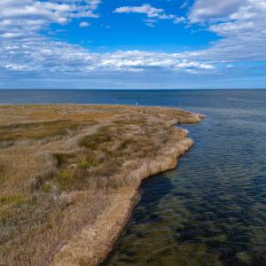 Photo #16 of Island, Avon, NC