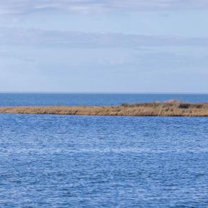 Photo #21 of Island, Avon, NC