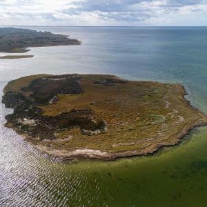 Photo #6 of Island, Avon, NC