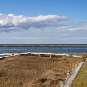 Photo #17 of Island, Avon, NC