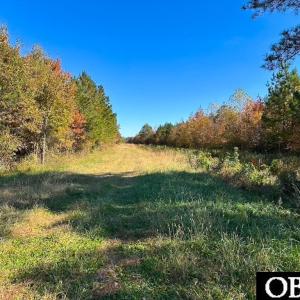 Photo #17 of Gibbs Road, Knotts Island, NC