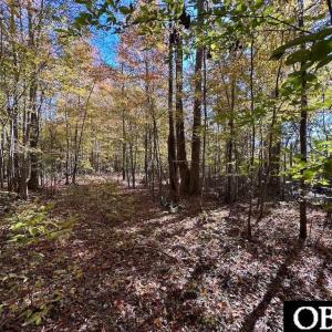 Photo #9 of Gibbs Road, Knotts Island, NC