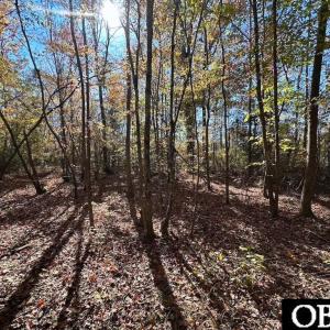 Photo #14 of Gibbs Road, Knotts Island, NC