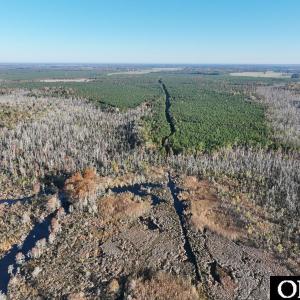 Photo #22 of Gibbs Road, Knotts Island, NC