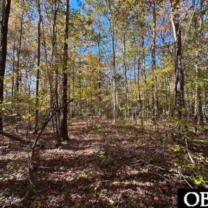Photo #12 of Gibbs Road, Knotts Island, NC