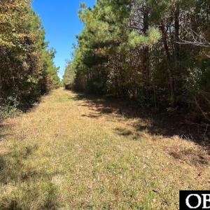 Photo #16 of Gibbs Road, Knotts Island, NC