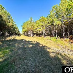 Photo #13 of Gibbs Road, Knotts Island, NC