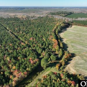Photo #21 of Gibbs Road, Knotts Island, NC