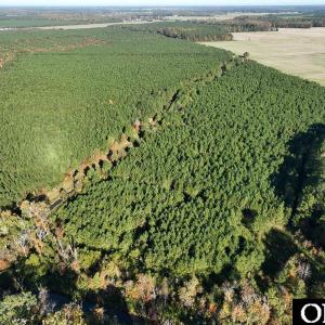Photo #20 of Gibbs Road, Knotts Island, NC
