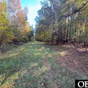 Photo #5 of Gibbs Road, Knotts Island, NC