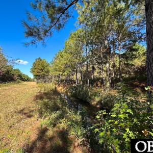 Photo #11 of Gibbs Road, Knotts Island, NC