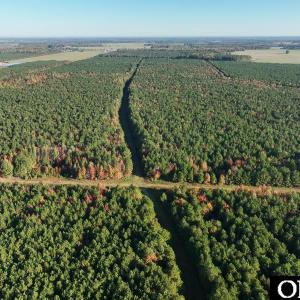 Photo #19 of Gibbs Road, Knotts Island, NC