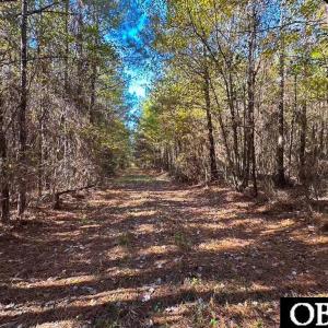 Photo #8 of Gibbs Road, Knotts Island, NC