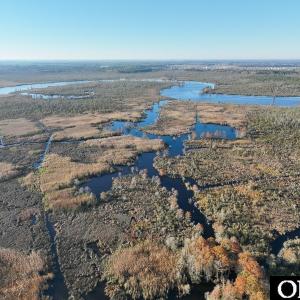 Photo #23 of Gibbs Road, Knotts Island, NC