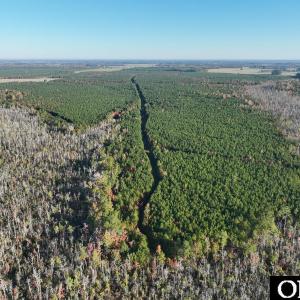 Photo #18 of Gibbs Road, Knotts Island, NC