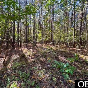 Photo #6 of Gibbs Road, Knotts Island, NC