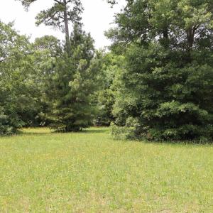 Photo #13 of 112 Aviator Drive, Maple, NC 0.9 acres