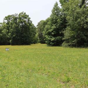 Photo #12 of 112 Aviator Drive, Maple, NC 0.9 acres
