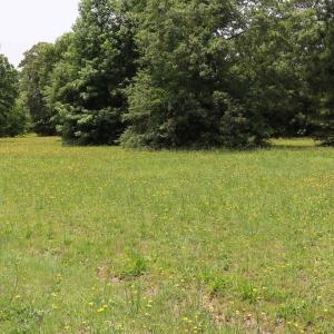 Photo #14 of 112 Aviator Drive, Maple, NC 0.9 acres